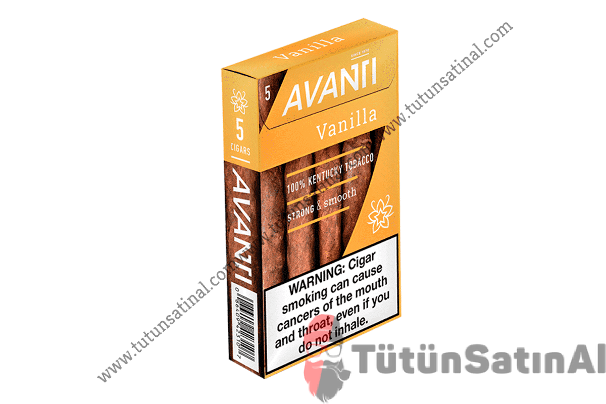 Avanti Vanilla Karton 10 Paket 1 Avanti Vanilla Karton 10 Paket