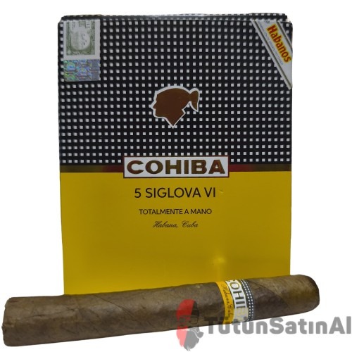 Cohiba Siglo VI Totalmente A Mano Gift Pack (Dominic) 1 Cohiba Siglo VI Totalmente A Mano