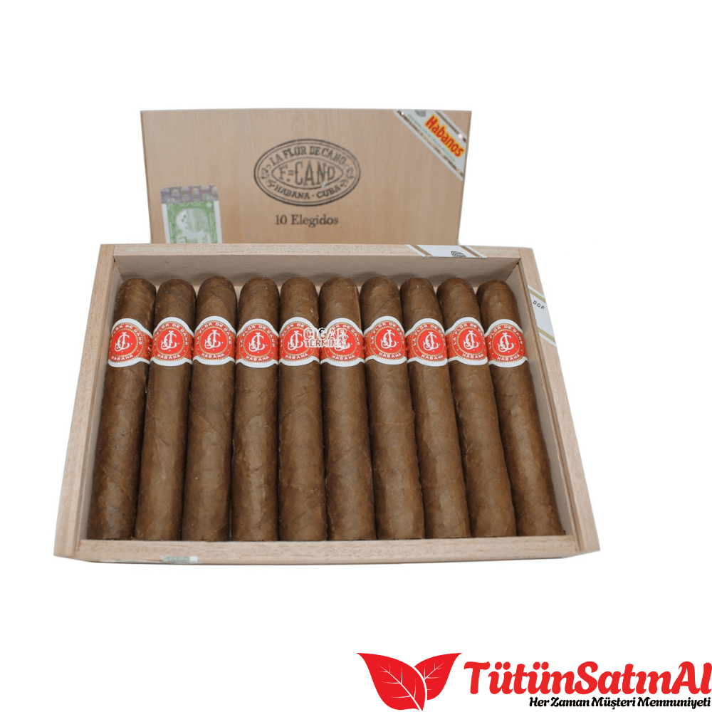 La Flor de Cano Elegidos Puro 1 La Flor de Cano Elegidos Puro